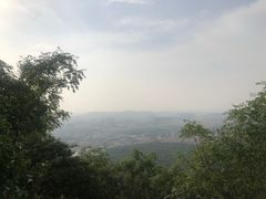 -紫金山山顶公园