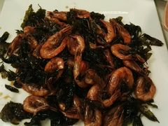 茶树虾-粤湘情(珠海海泉湾店)