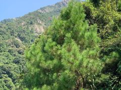 -黄腾峡天门悬廊