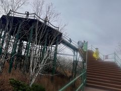 -凤凰山国家森林公园