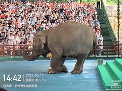 -杭州野生动物世界