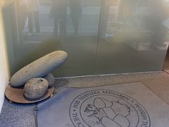 -冰岛阴茎博物馆