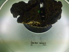 -中国地质博物馆