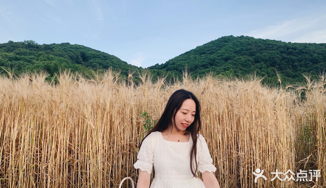 杭州滨江的麦田,在夕阳下奔跑吧