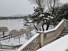 -北京张裕爱斐堡酒庄