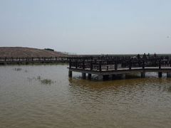 android_upload_pic-南大港湿地风景区