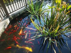-聚缘堂·海鲜私房菜(松岭路店)