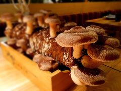 鲜采香菇-大头椰·椰子鸡火锅(南宁万象城店)