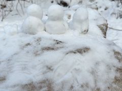 -秦岭终南山世界地质公园翠华山景区