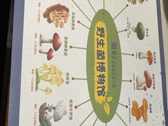 -菌彩云南野生菌火锅(呈贡七彩云南第壹城店)