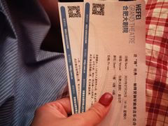 -合肥大剧院