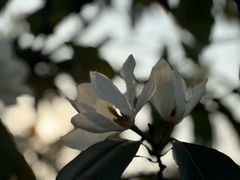 -黄兴公园