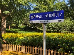 -香山公园