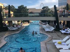 -拉斯维加斯永利酒店