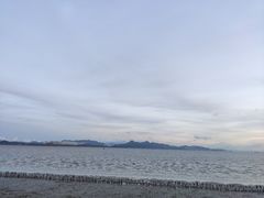 -深圳湾公园(南山区)
