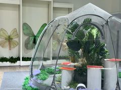 -深圳龙华星河COCO City(民治店)