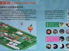 -前小桔亲子创意农场·草莓采摘·露营烧烤