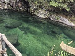 -石台牯牛降景区