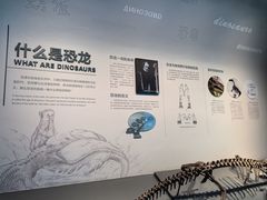 -自贡恐龙博物馆