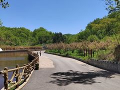 -西泰山风景区