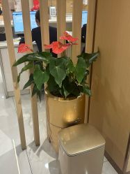 -南京康美美容医院·旗舰店