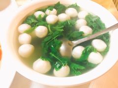 -丁老爷子苏香圆
