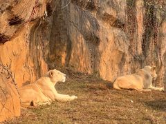 -杭州野生动物世界