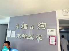-A猫a狗全科·犬猫异宠·芥西宠物医院(南开总院)
