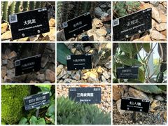 -上海辰山植物园