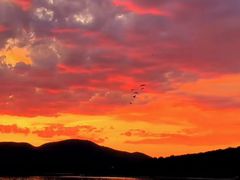 -北京网络广播电视台