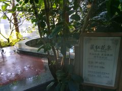 -南宫温泉水世界