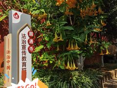 -圆通禅寺