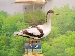 -下渚湖国家湿地公园科普馆