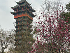 -塔子山公园