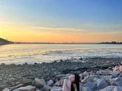 -宝安西湾红树林湿地公园