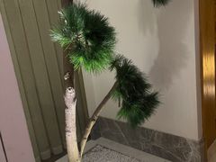 -新盈光·云会所(百丈东路店)