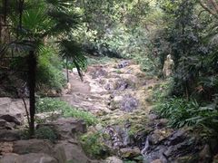 -火炉山森林公园
