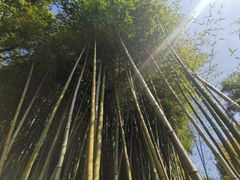 -汇龙潭