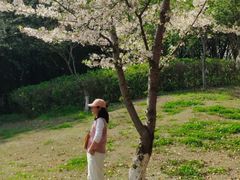 -阳澄湖半岛旅游度假区