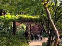 -嘉定紫藤园
