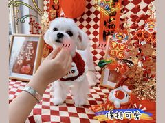 -宠物家(大兴旧宫店)