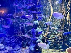 -华夏文旅海洋公园