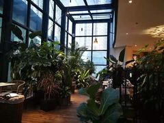 -大树餐厅(红旗街万达店)