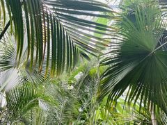 -国家植物园南园