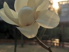 -金山公园