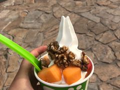 -Salud撒露欧洲冻酸奶(蓝色港湾店)