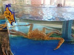 水产区-正德楼果木烤鸭·渔家菜(东港店)