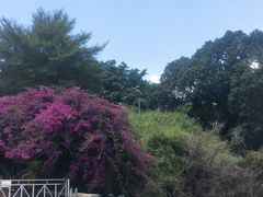 -南诏风情岛