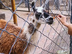 -长白岛森林公园