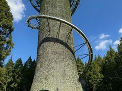 -黄海国家森林公园